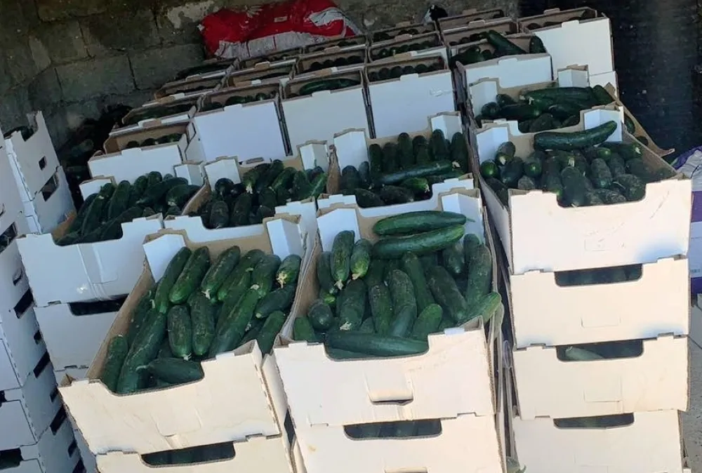 Urgjentisht t&euml; formohen qendrat grumbulluese p&euml;r pem&euml; dhe perime