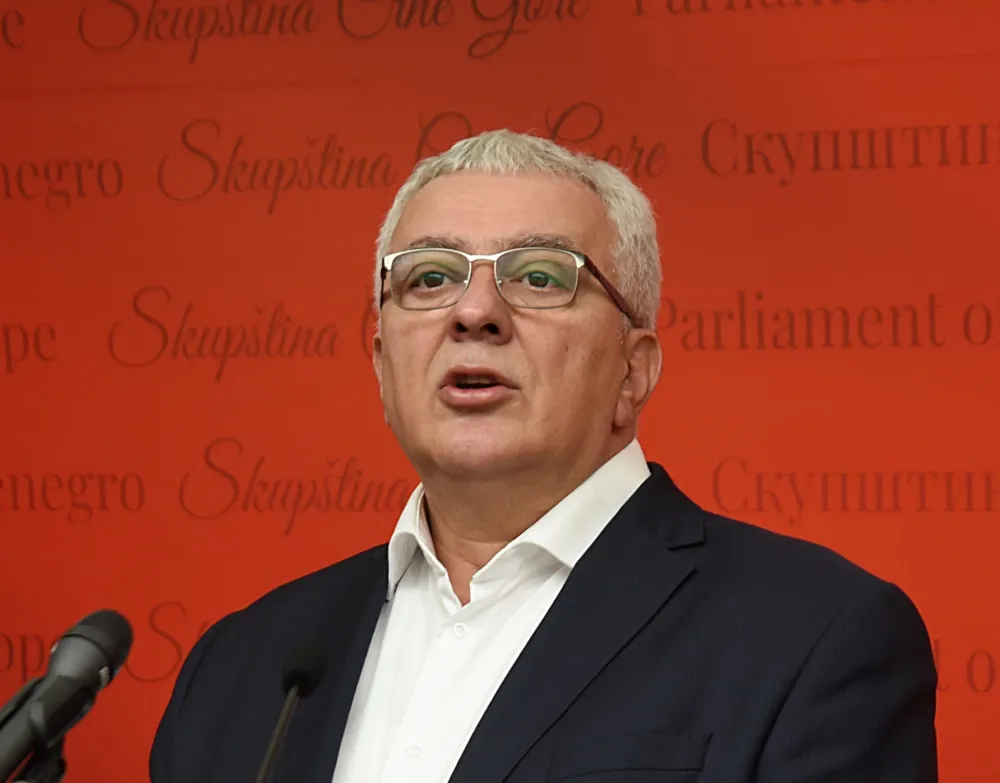 Андрија Мандић