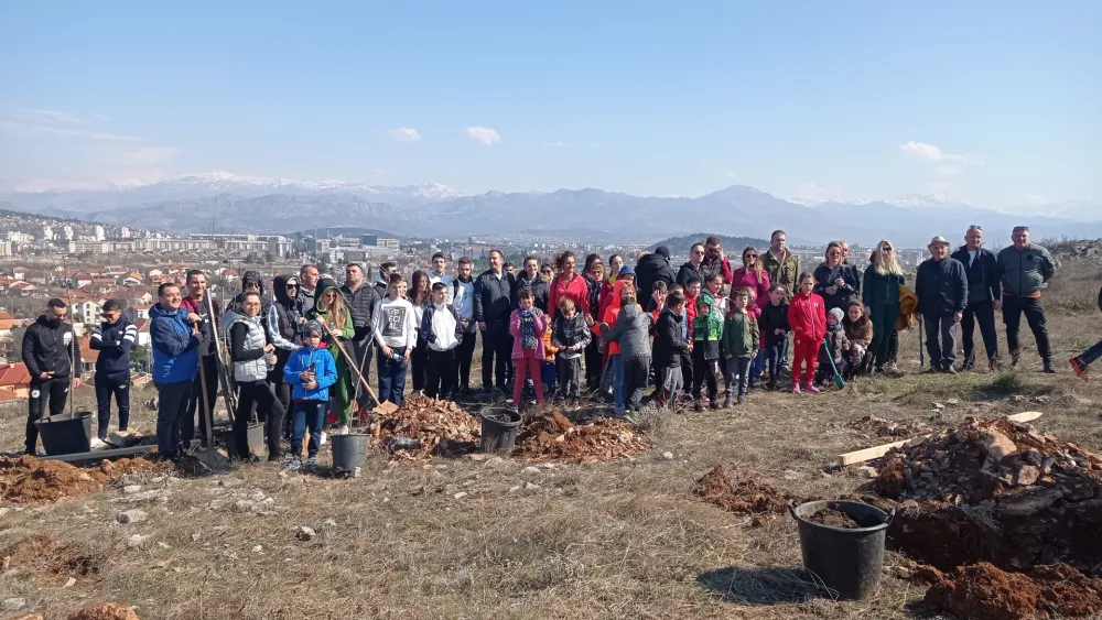 Akcija Gornja Gorica 
