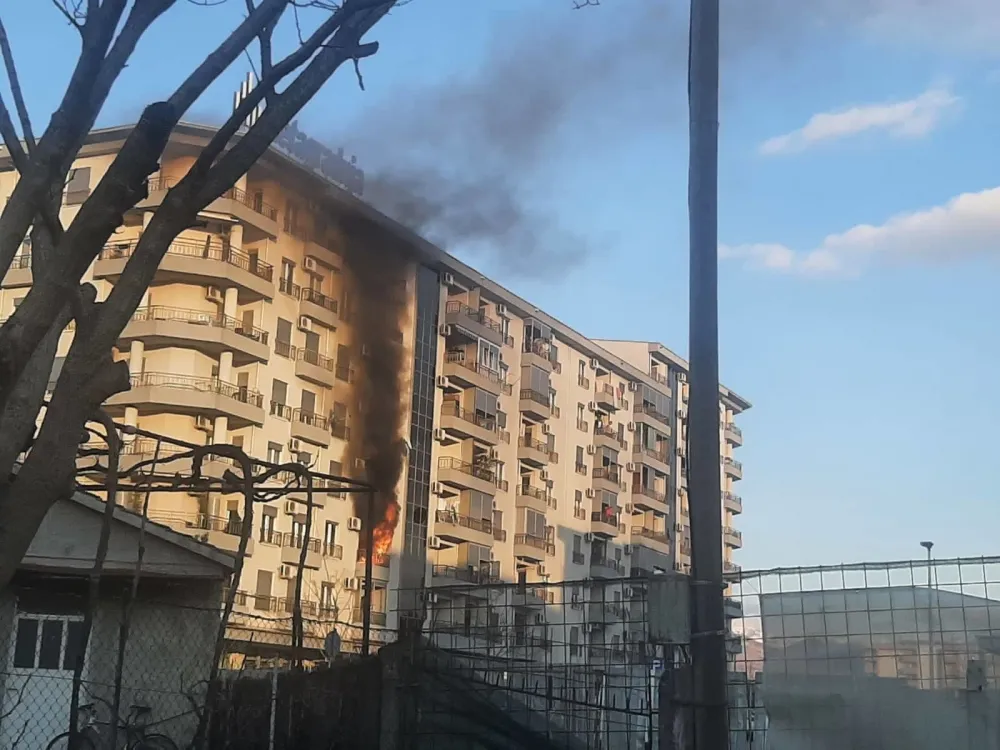 Фото: Дан