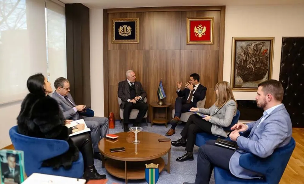 Амбасадор Руминије, Раичевић