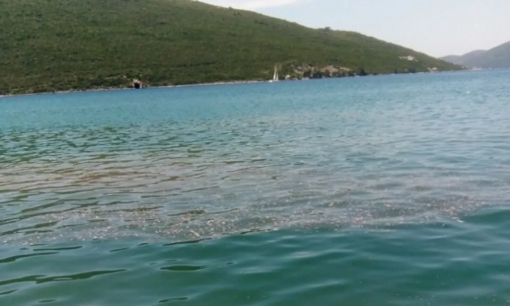 запрљано море