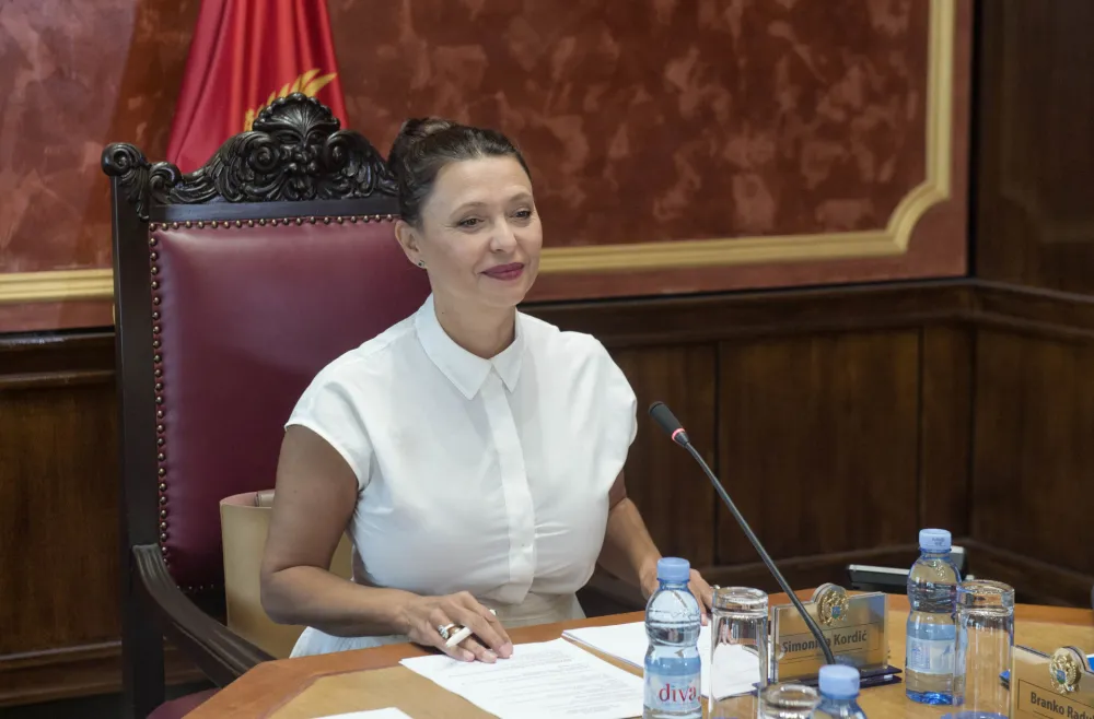 sjednica ustavnog odbora, Osma sjednica ustavnog odbora, razmatranje predloga za pokretanje postupka da li je predsjednik Crne Gore prekrsio ustav, Simonida Kordic