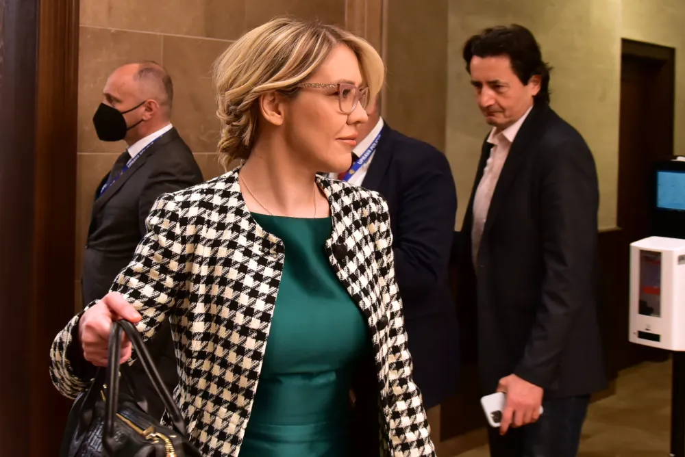 Vesna Bratic, Skupstina Crne Gore,sjednica o nepovjerenju vladi