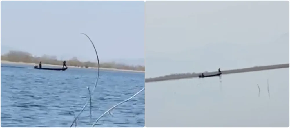 Криволовци на дјелу