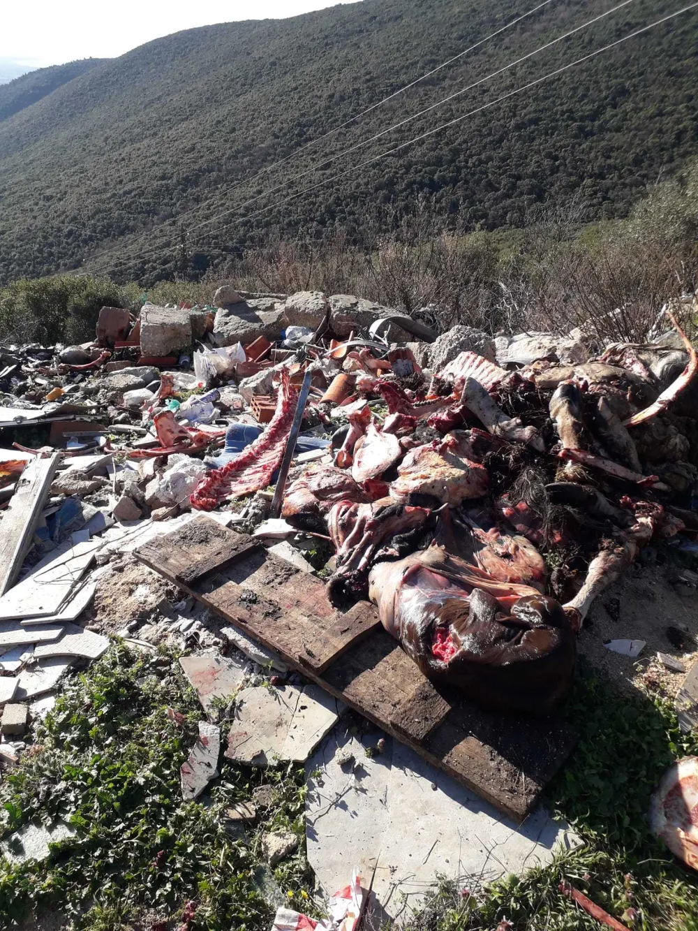 Нелегала депонија изнад увале Валданос