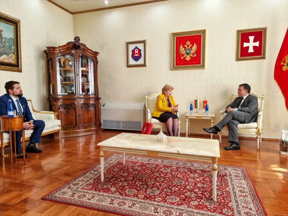 фото: ПРЕСТОНИЦА