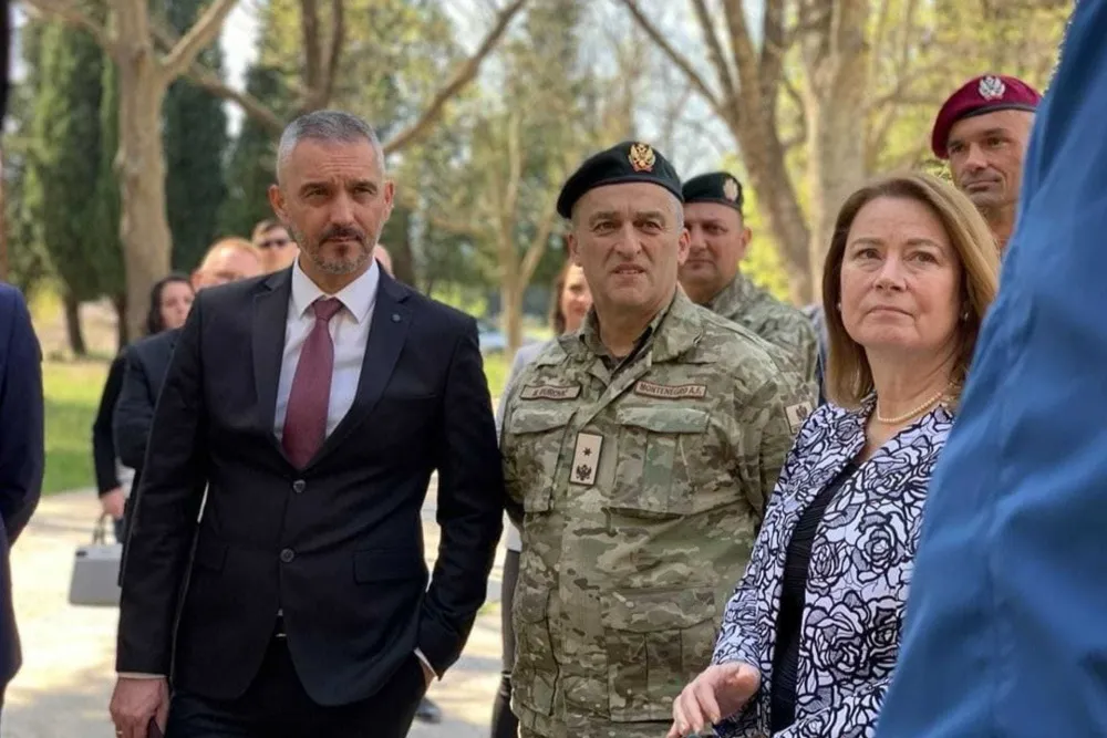 Брђанин и Рајнке