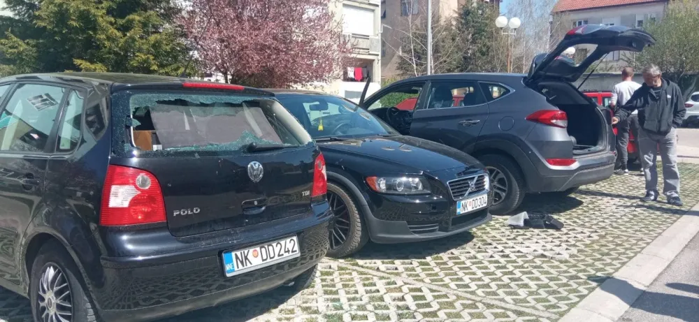 фото: Биља Брашњо