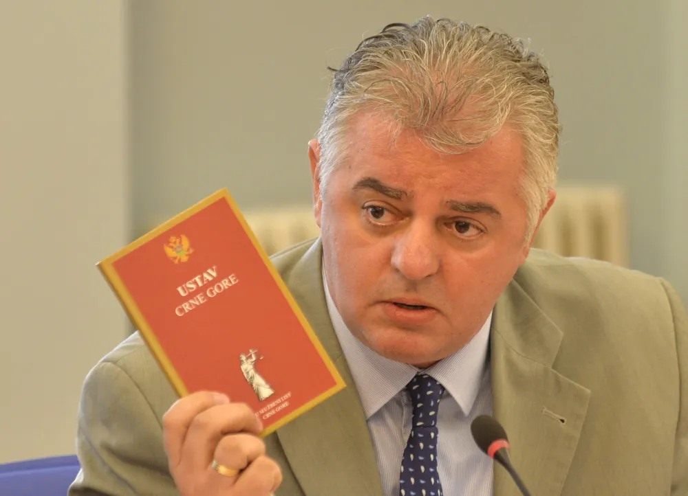 sjednica komisije za kontrolu privatizacije oko Kapa, Dragan Bojovic