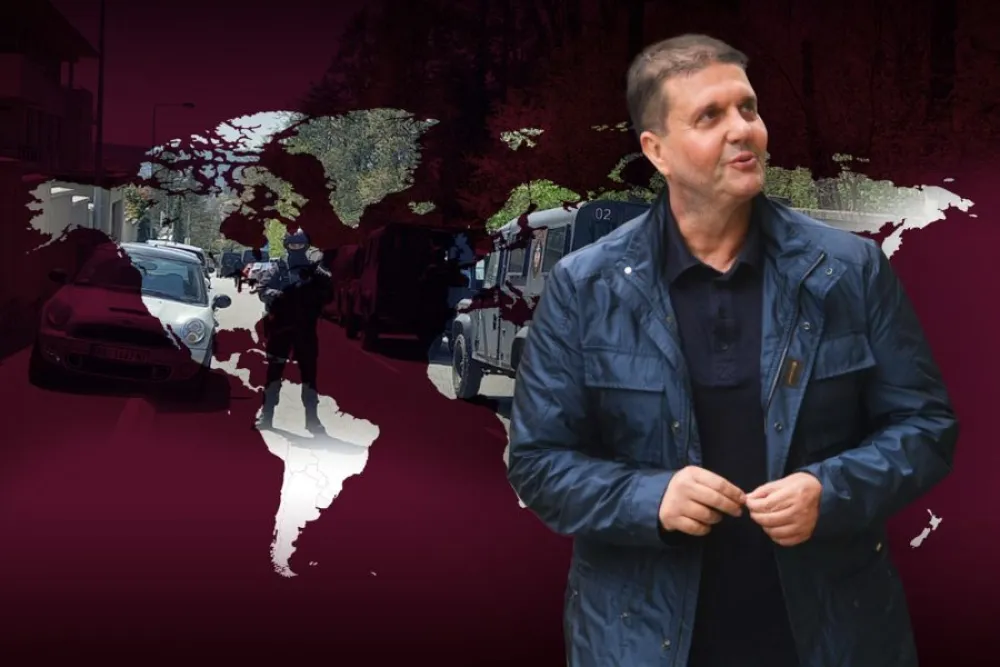 Пипци Шарићеве хоботнице