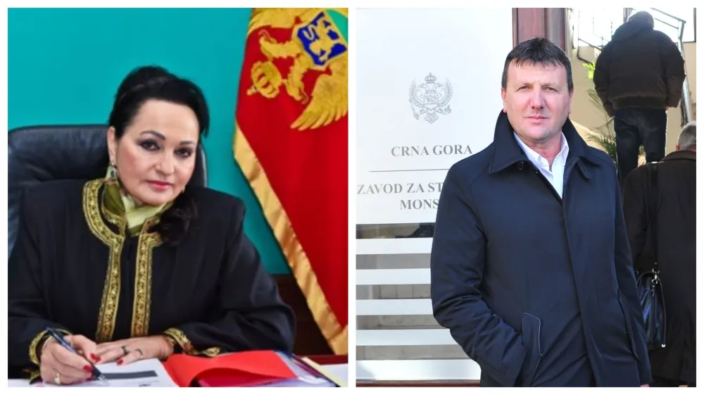 Medenica i Savić