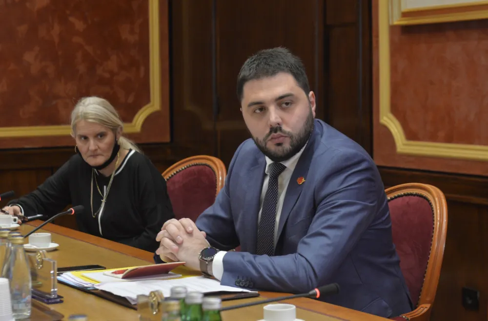 ustavni odbor saslusanje sedmog kandidata za sudiju, ustavni odbor, sasusanje kandidata za sudiju, Vladimir Martinovic