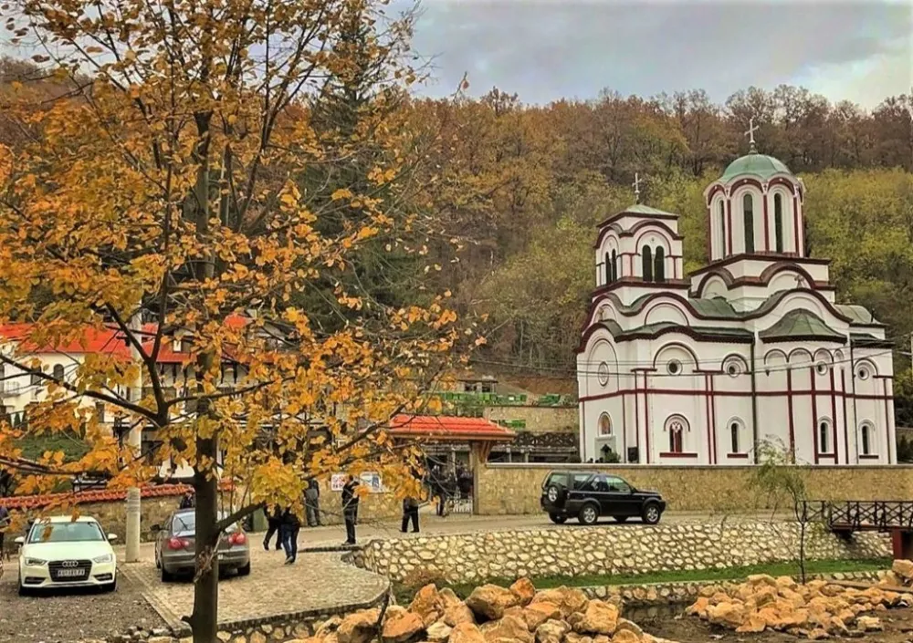 Фото: Немања Николић