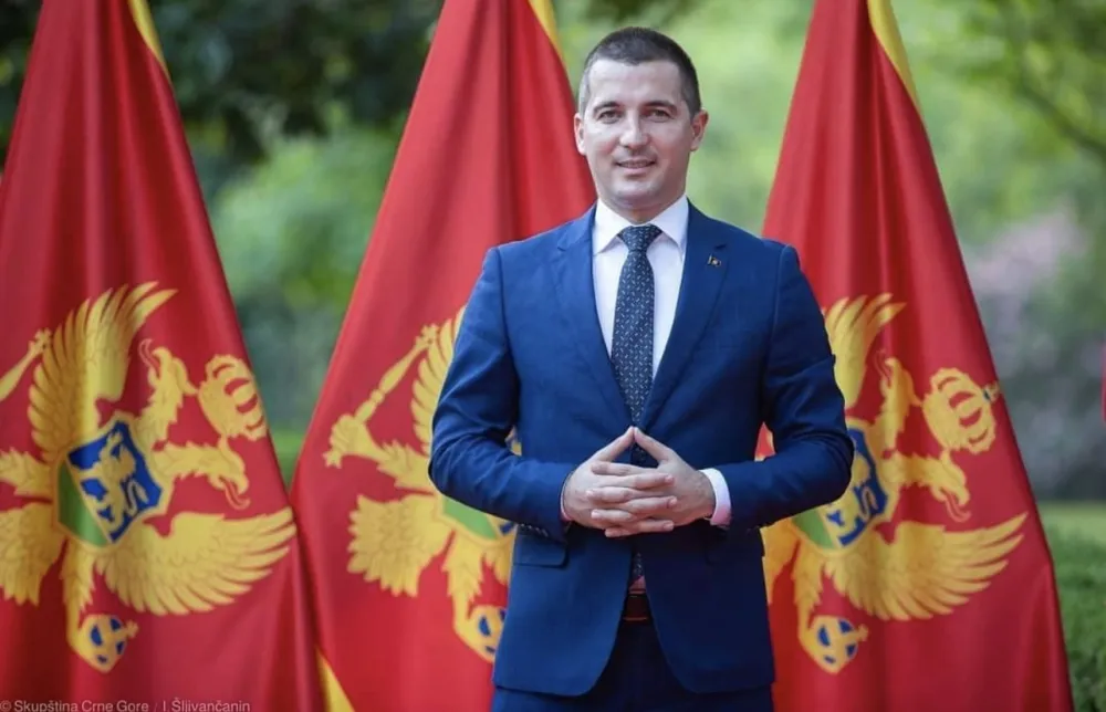 алекса бечић