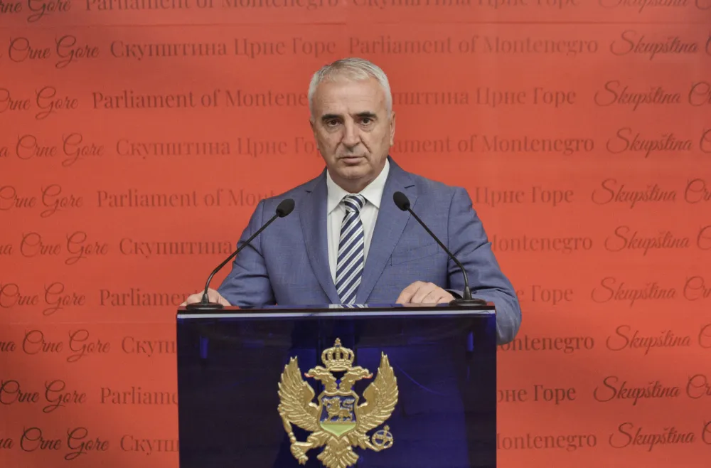 Dejan Djurovic poslanik, 