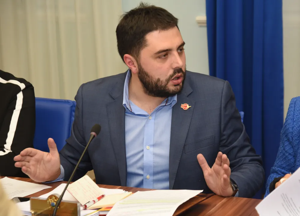 ustavni odbor