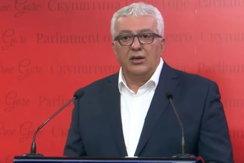 Андрија Мандић