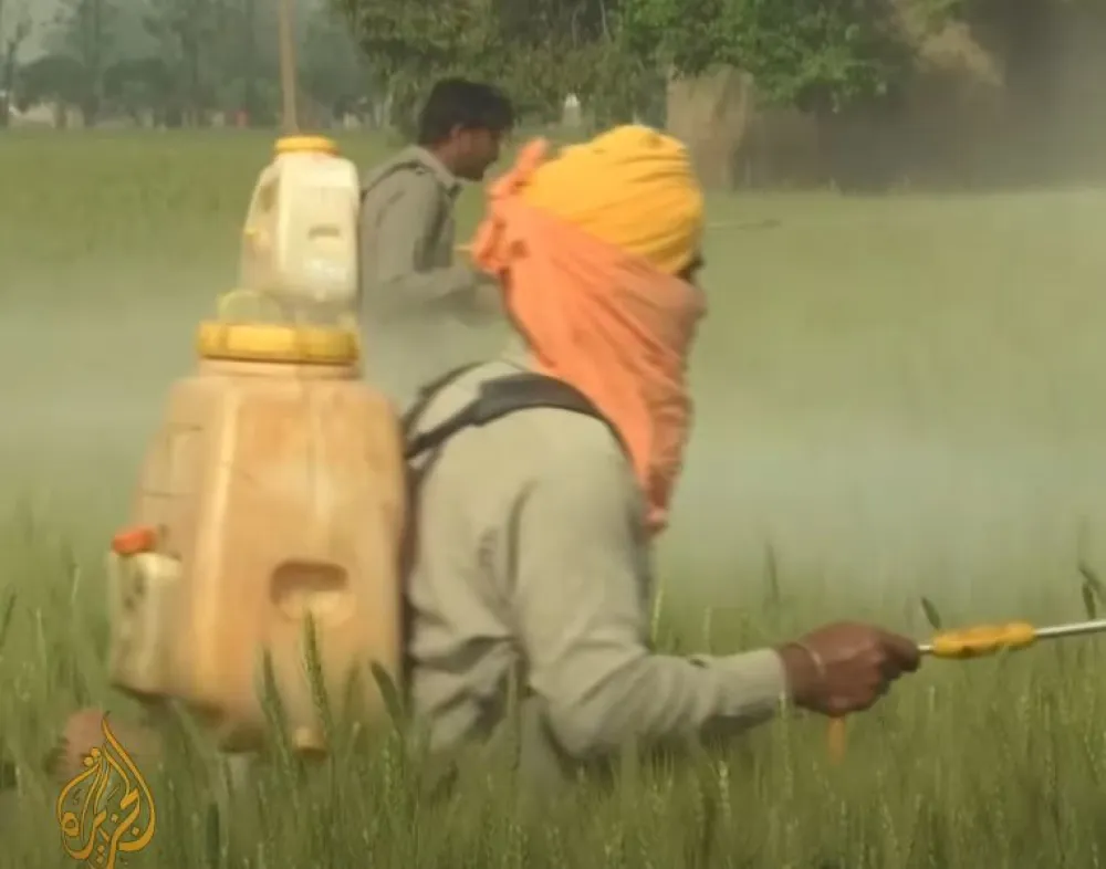 foto youtube Al Jazeera English