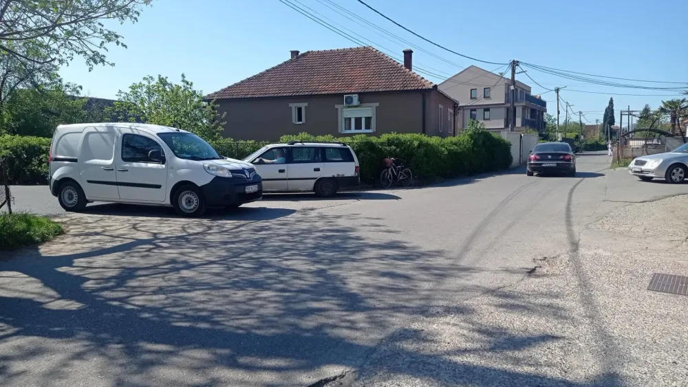 Живе ограде заклањају видик возачима 