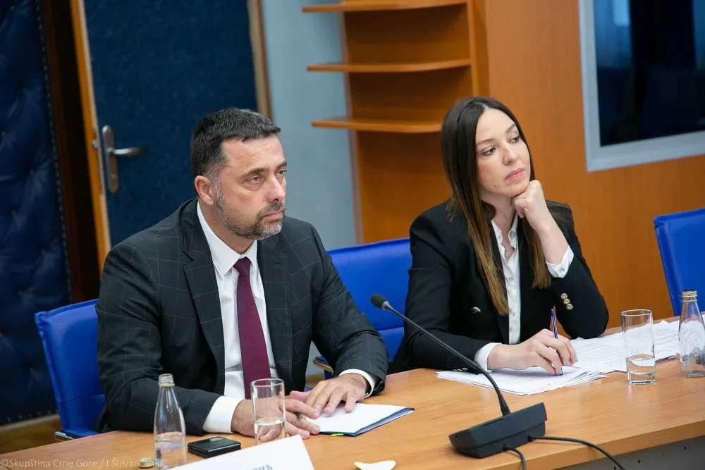 Министар економског развоја Горан Ђуровић