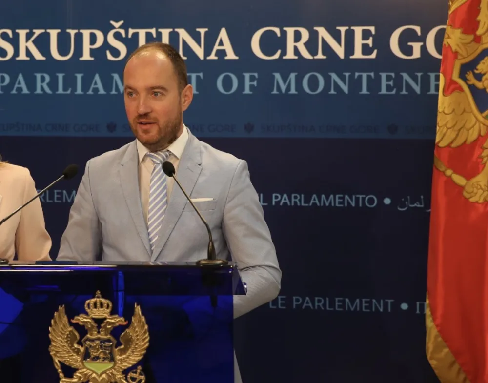 Мирко Станић