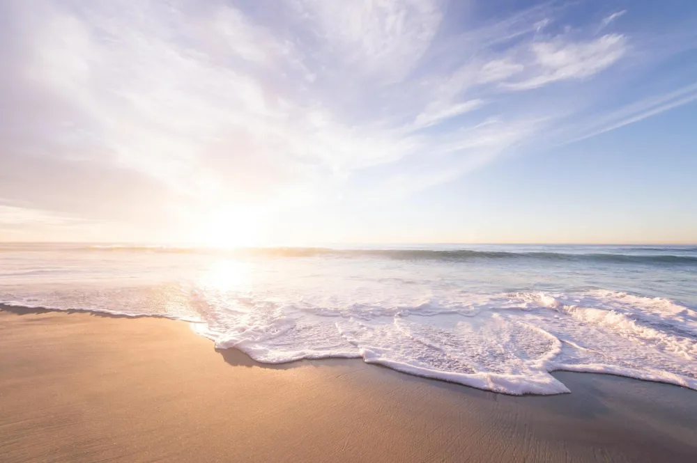 Photo by frank mckenna on Unsplash