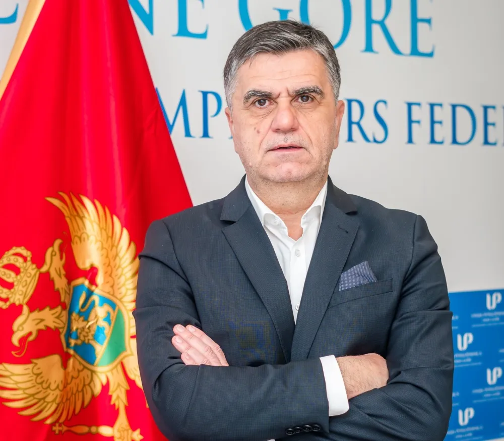 Предраг Митровић