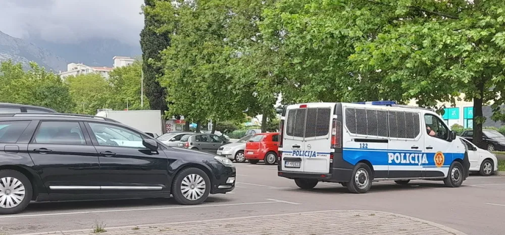 фото: Д.С.