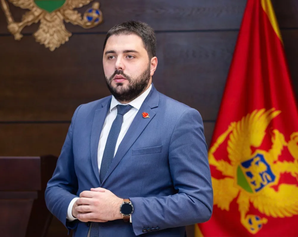 Владимир Мартиновић
