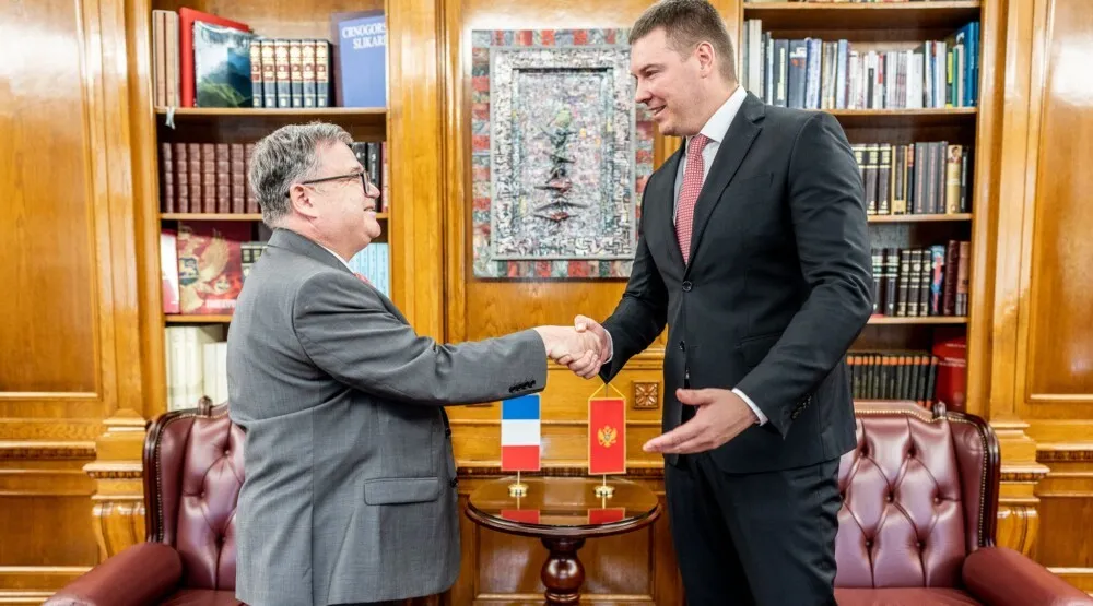 Тимоније и Аџић