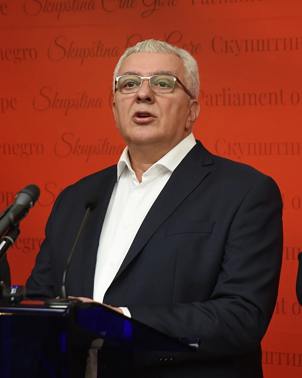 Андрија Мандић