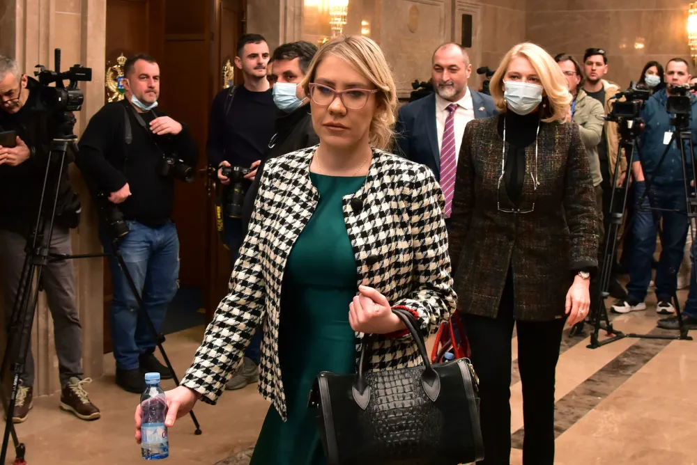 Vesna Bratic, Skupstina Crne Gore,sjednica o nepovjerenju vladi