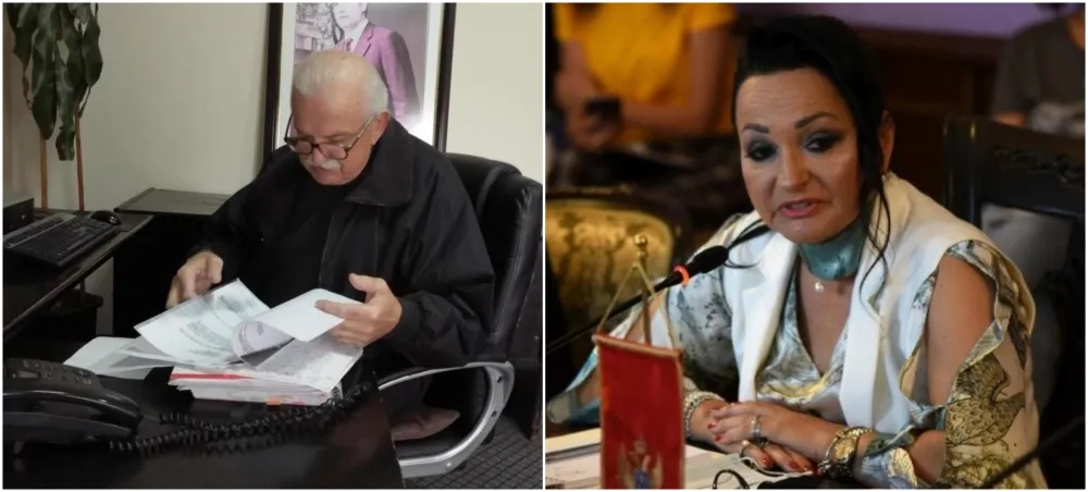Борислав Недић и Весна Меденица