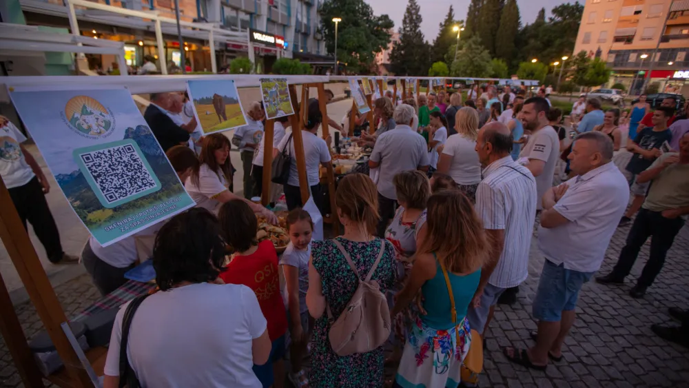 Dani Sinjajevine u Podgorici