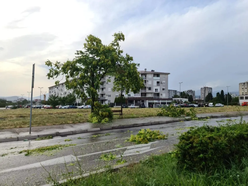 Foto: Lazar Ružić