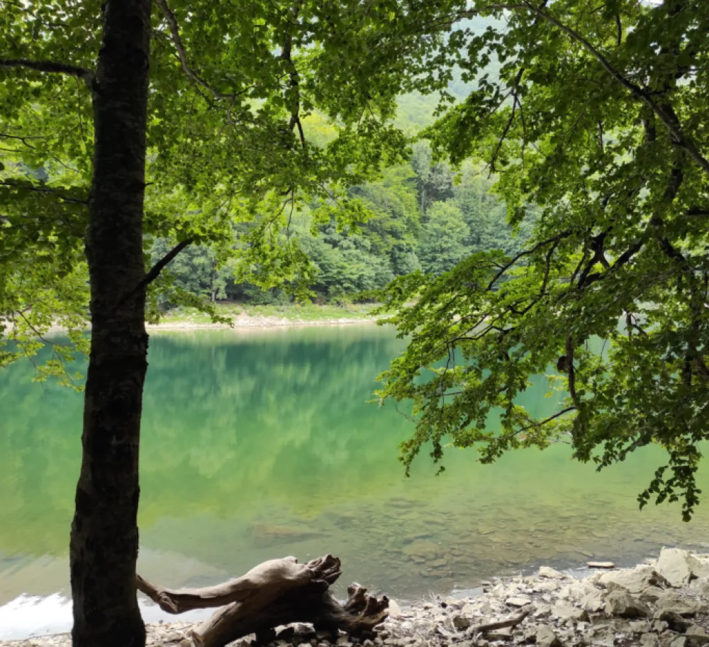 foto: Ž.B.