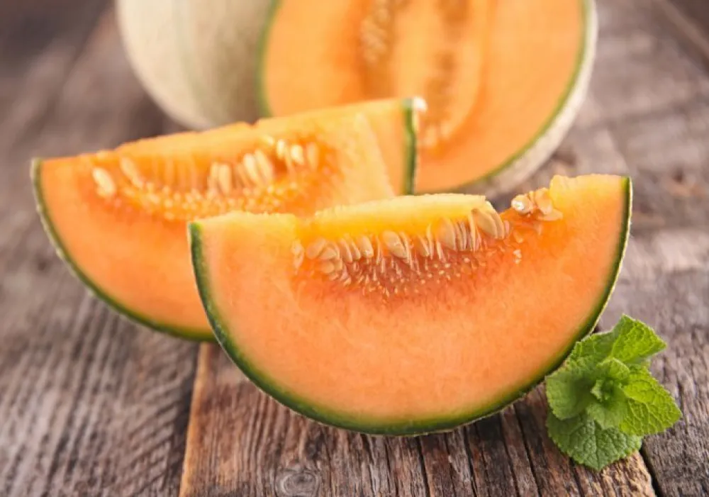 Foto: shutterstock