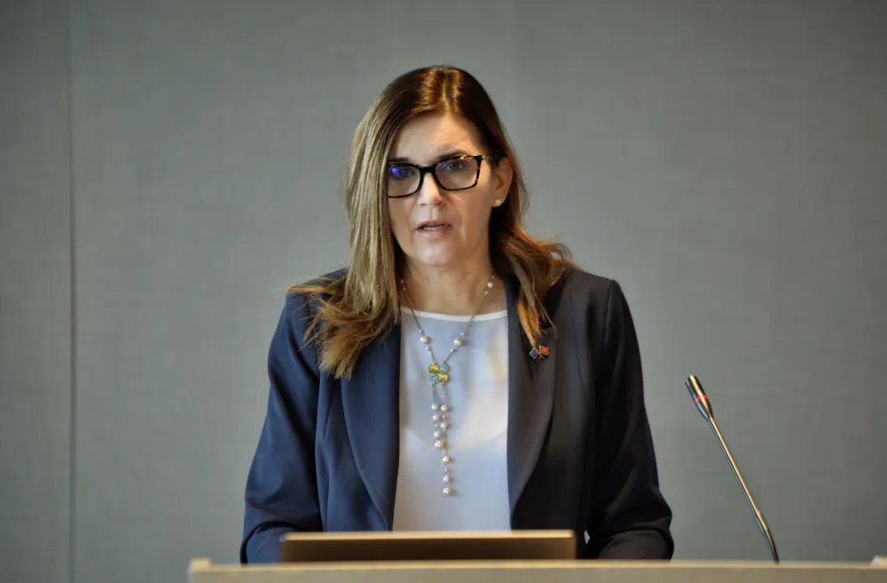 Istrazivanje o eu, evropska kancelarija u cg, Oana Kristina Popa