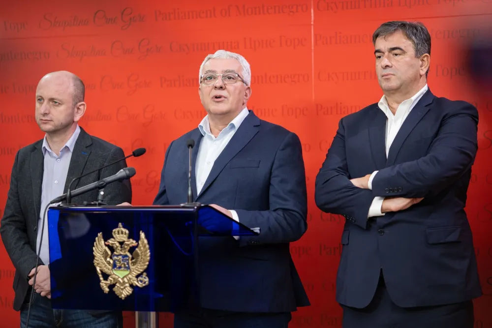 press df, df, Milan Knezevic, Andrija Mandic, Nebojsa Medojevic