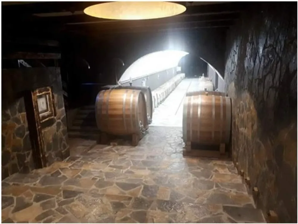 Oprema mora biti ispravna, a sudovi za vino dezinfikovani