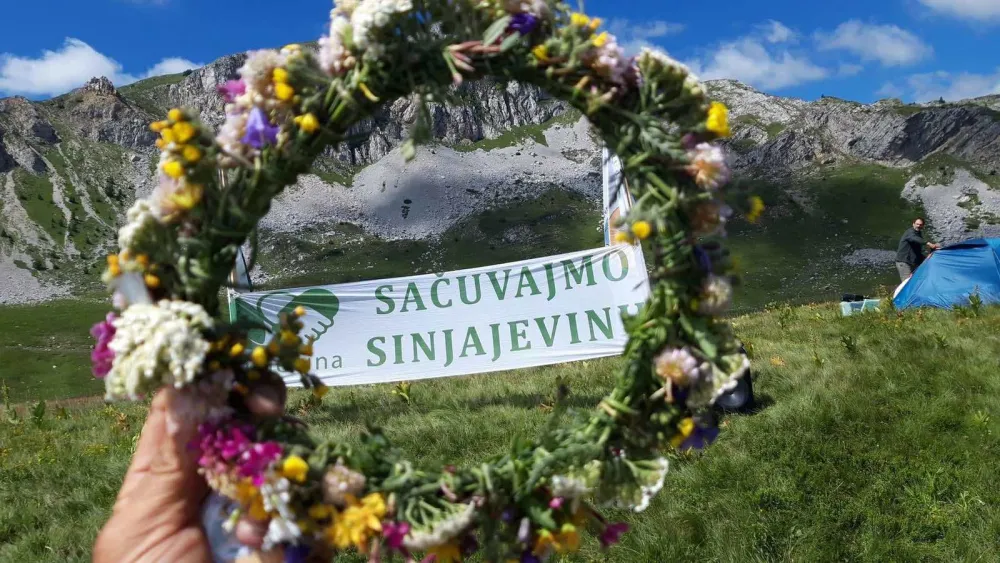 Sačuvajmo Sinjajevinu