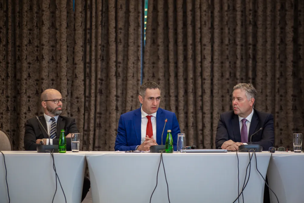 Ministar Damjanović na panelu sa slovenačkim privrednicima