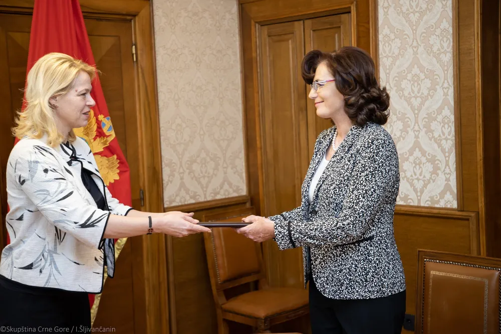 igor sljivancanin