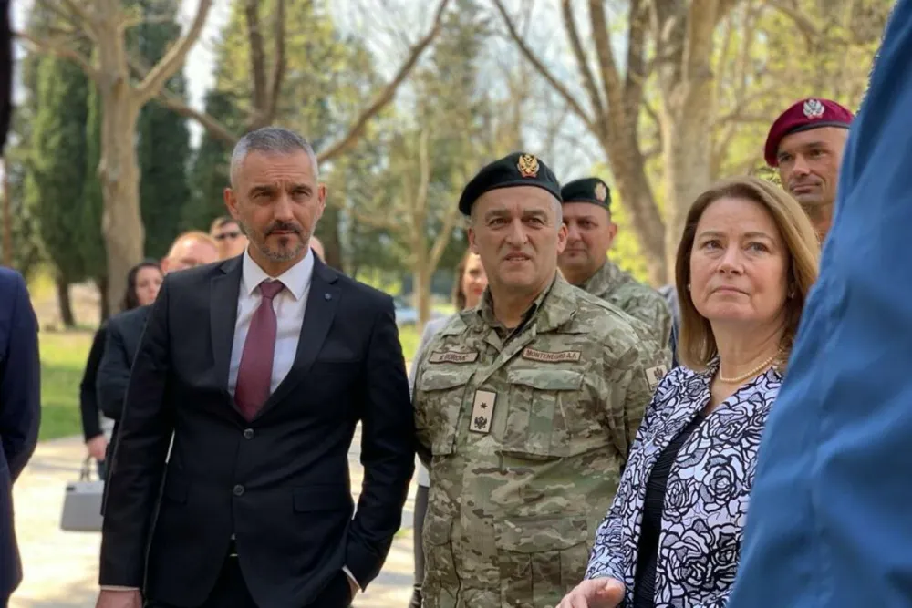 Brđanin i Rajnke 