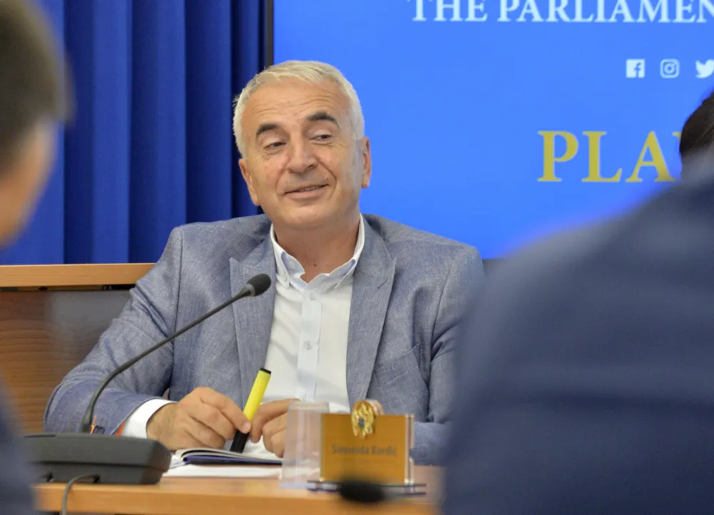 Ivan Petrovic-Ipe