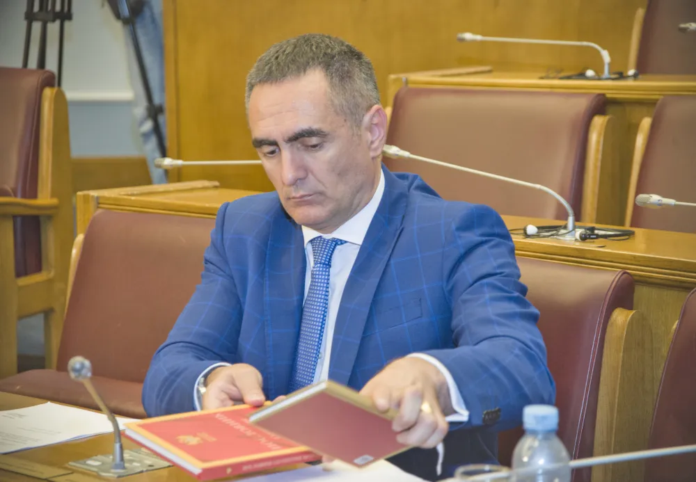 skupstina, aleksandar damjanovic