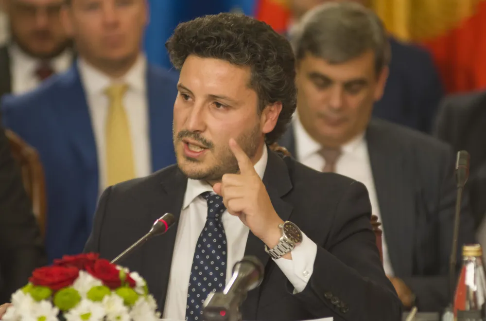 Srdjan Boljevic