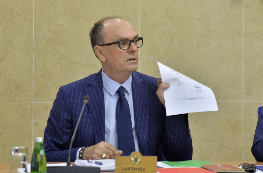 Sjednica Administrativnog odbora, Luidj Skrelja