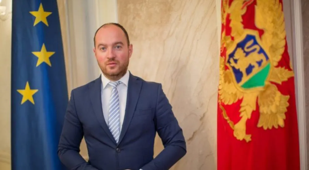 мирко станић